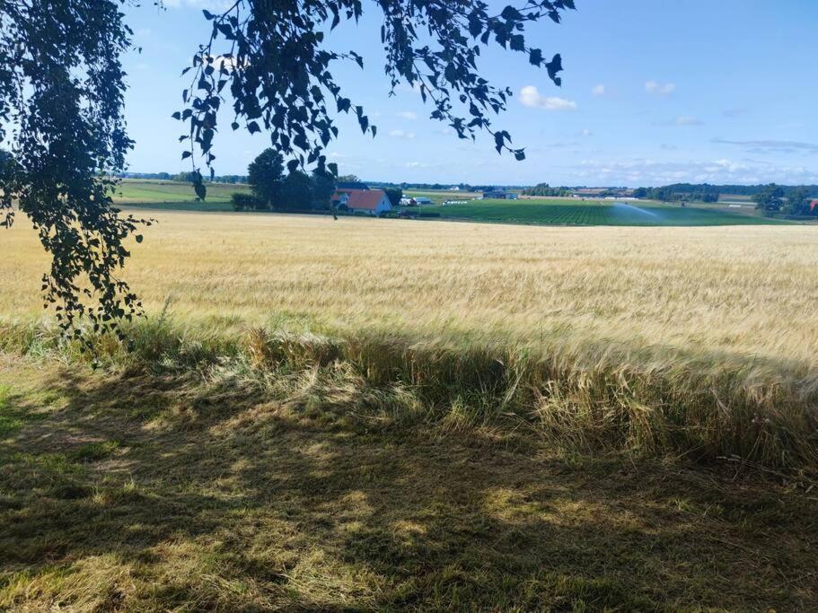 Gaesthus Pa Oesterlen Med Naerhet Till Strand & Golf Villa Ystad Exterior photo